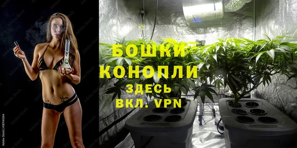 спиды Вяземский