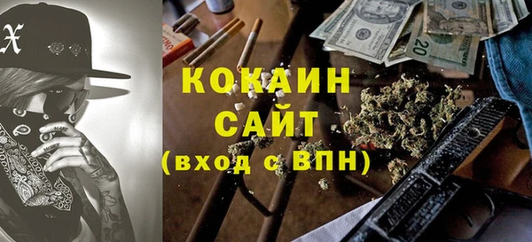 спиды Вяземский