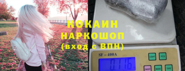 спиды Вяземский