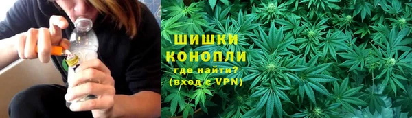 спиды Вяземский